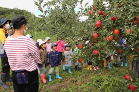🍏りんご狩り🍎