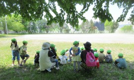 小学校の運動会練習見学(めろん組)