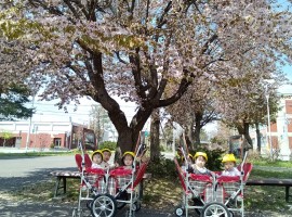 分園げんき!