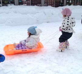 今日のもも組の様子🍑